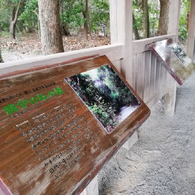 【福岡】世界遺産✨「宗像大社」⛩️