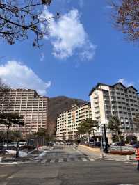 홍천 비발디파크에서 스키 즐기기!⛷️