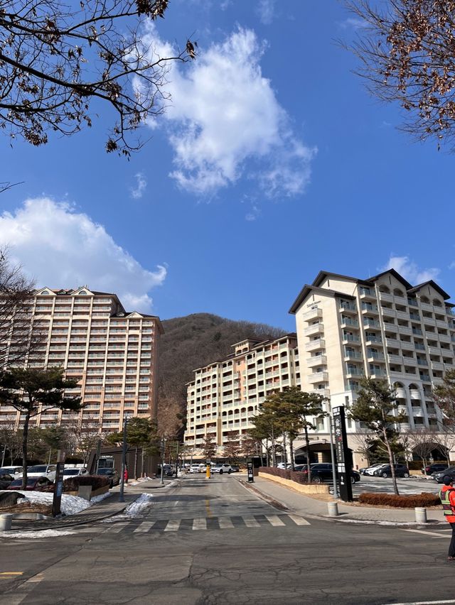 홍천 비발디파크에서 스키 즐기기!⛷️