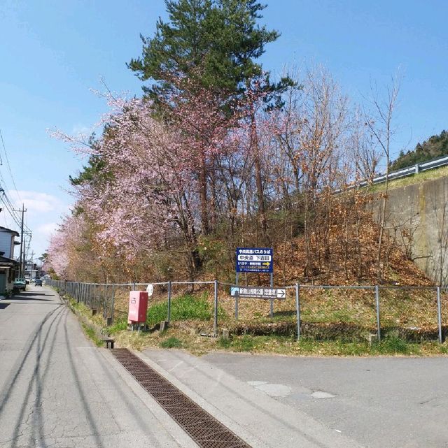 朝聖富士山第一景 淺間公園(part1)