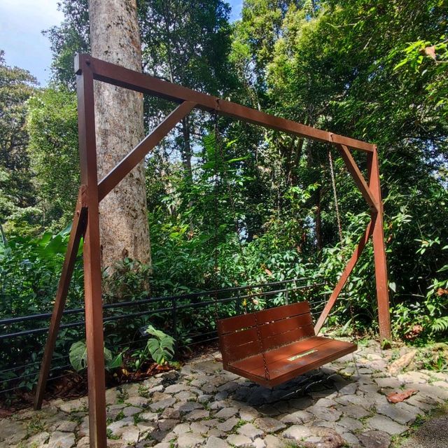 Penang Rainforest Discovery Centre