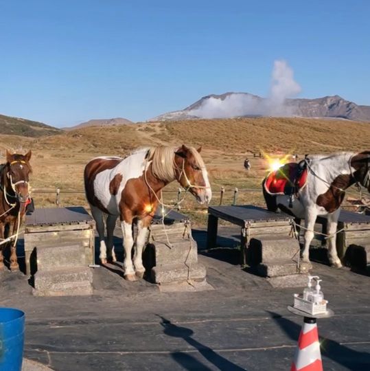 日本阿蘇｜火山騎馬體驗🏇