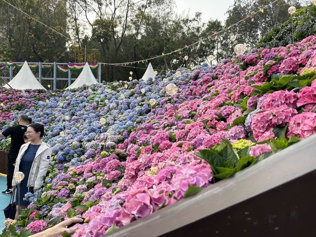 “Bliss in Bloom” Hong Kong Flower Show 