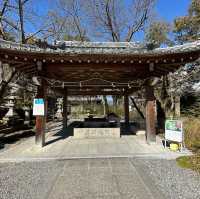酒作りの神様？ 京都最古の神社？ 京都 松尾大社