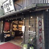 ♨️箱根遊玩慳錢攻略💰必買箱根周遊券