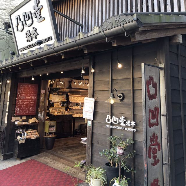 ♨️箱根遊玩慳錢攻略💰必買箱根周遊券