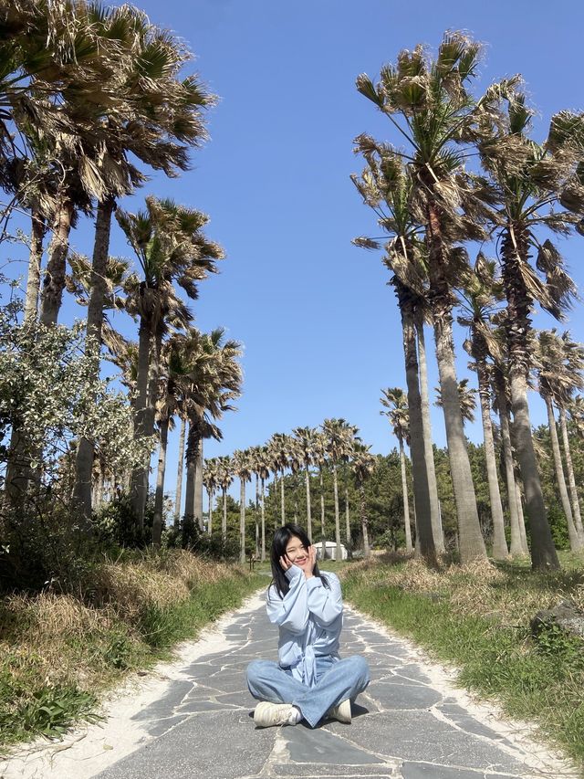 이국적인 제주해변