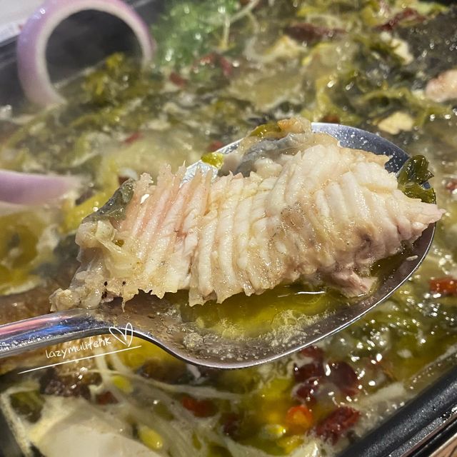 尖沙咀足料美顏酸菜魚✨
