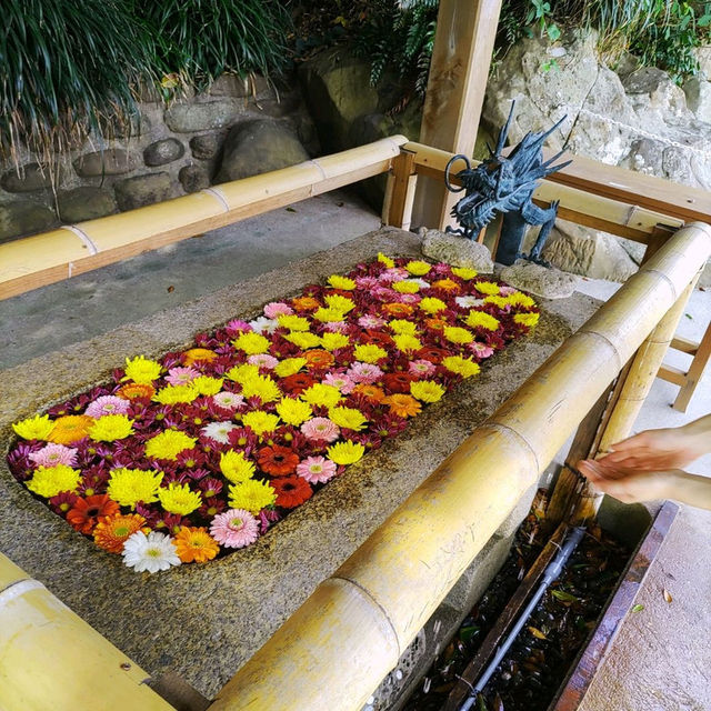 宮崎県「鵜戸神宮」は神秘的パワースポット！体力も必要！