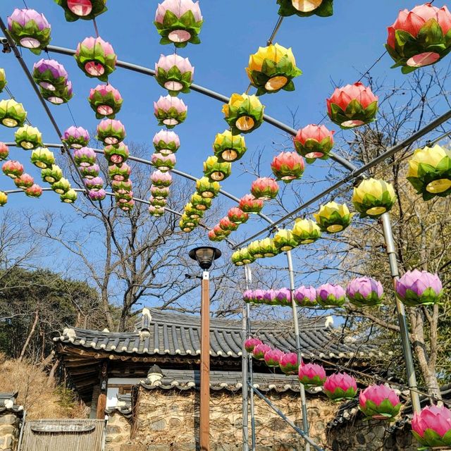 피크닉을 즐기기에 좋은 공주 절 여행 마곡사