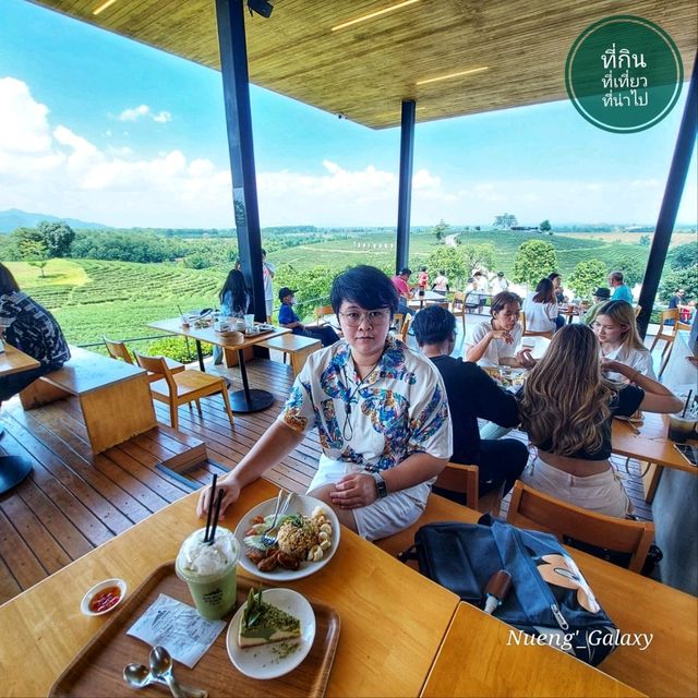 ไร่ชาฉุยฟง [ดื่มชา ชมไร่] - เชียงราย