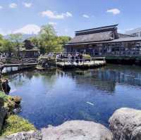 【山梨観光】1度は行くべきな忍野八海✨