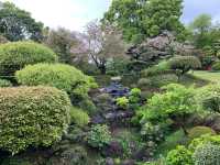 熊本　熊本観光　熊本の癒しスポット水前寺成趣園に行ってきた！