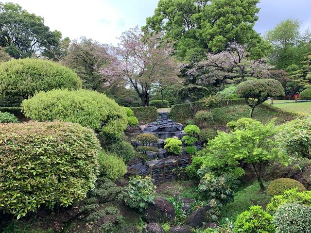 熊本　熊本観光　熊本の癒しスポット水前寺成趣園に行ってきた！