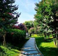 深圳灣公園• 濱海休閒帶