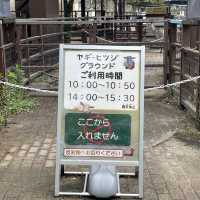 【親子景點】京都市動物園