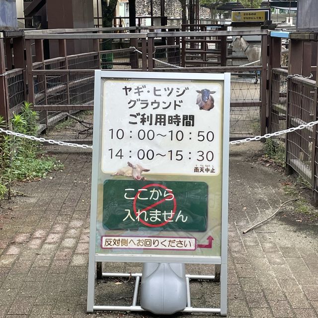 【親子景點】京都市動物園