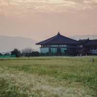 경주 노을명소 분황사