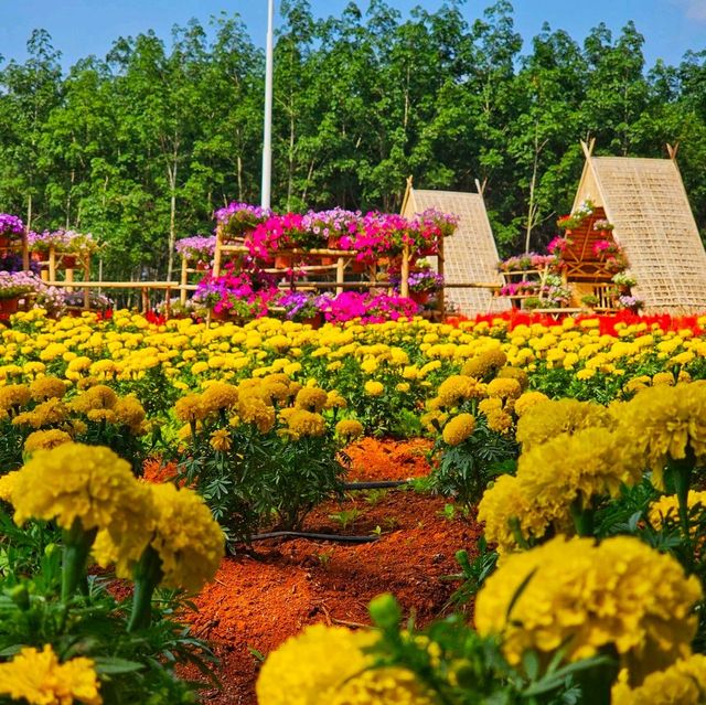 สวนดอกไม้ สุด ว้าว จ.กระบี่