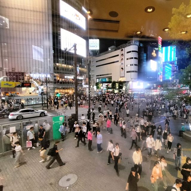 【東京 渋谷】ロクシタンカフェ渋谷と渋谷スクランブル 【東京 渋谷】ロクシタンカフェ渋谷と渋谷スクランブル
