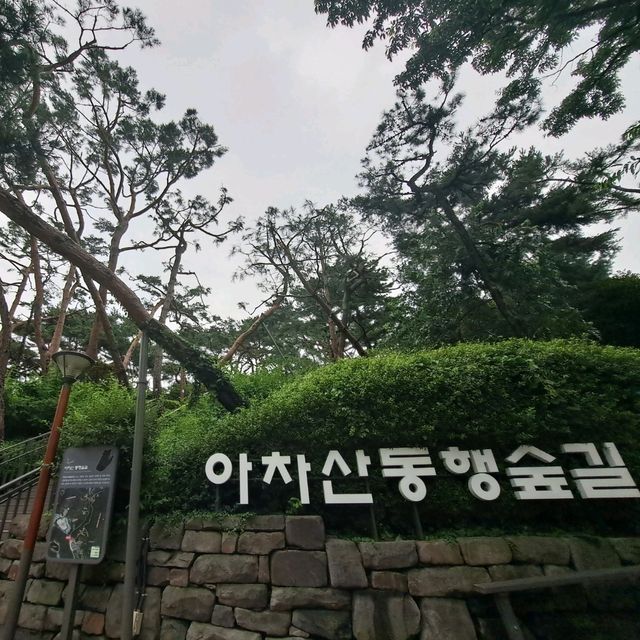 韓國景點📸峨嵯山生態公園😊親親大自然體驗日🌤