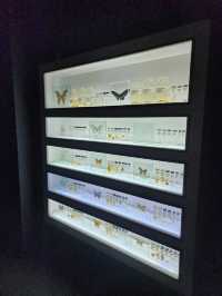 Entopia by Penang Butterfly Farm ✨