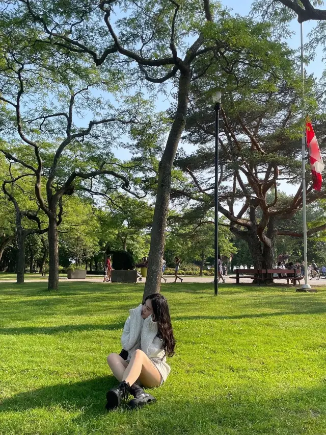 🇨🇦토론토에 있는 유일한 섬 “Toronto lsland Park”🏞️