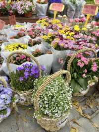 Flower trade market in Shenzhen 🌺🌸💐🧺🌷