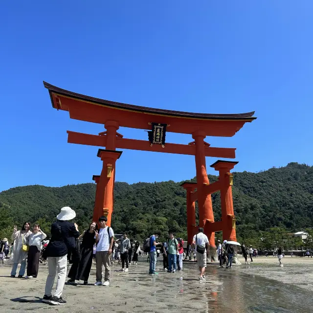 広島県　宮島　鳥居リニューアル