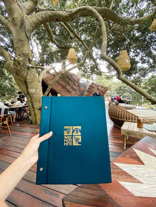 Prettiest Tree Top Café in Phuket 🇹🇭