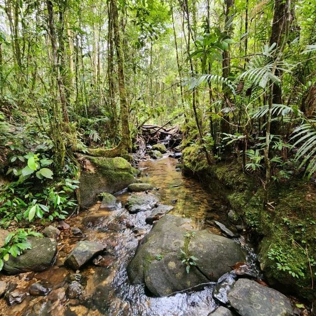 Amazing stay at Sutera Sanctuary Lodges Kinabalu Park