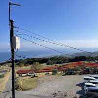 【淡路島】絶景も淡路島土産も堪能できる花さじきテラス館