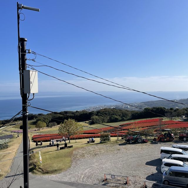 【淡路島】絶景も淡路島土産も堪能できる花さじきテラス館