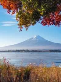 【山梨】紅葉×富士山　一度は見てみたい秋の美しい景色