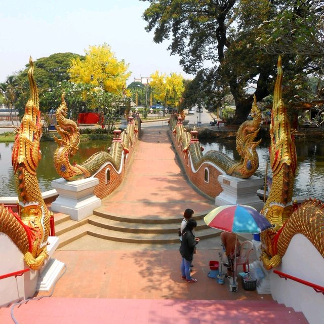 Horse-Drawn Carriage Through Lampang
 Old Town