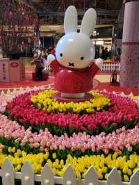 兔年miffy春意花開新年活動