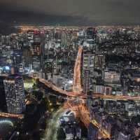 東京無敵夜景，登頂VIP級服務。