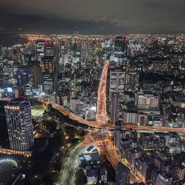 東京無敵夜景，登頂VIP級服務。