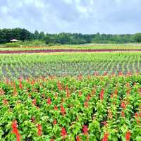 富士本栖湖リゾート