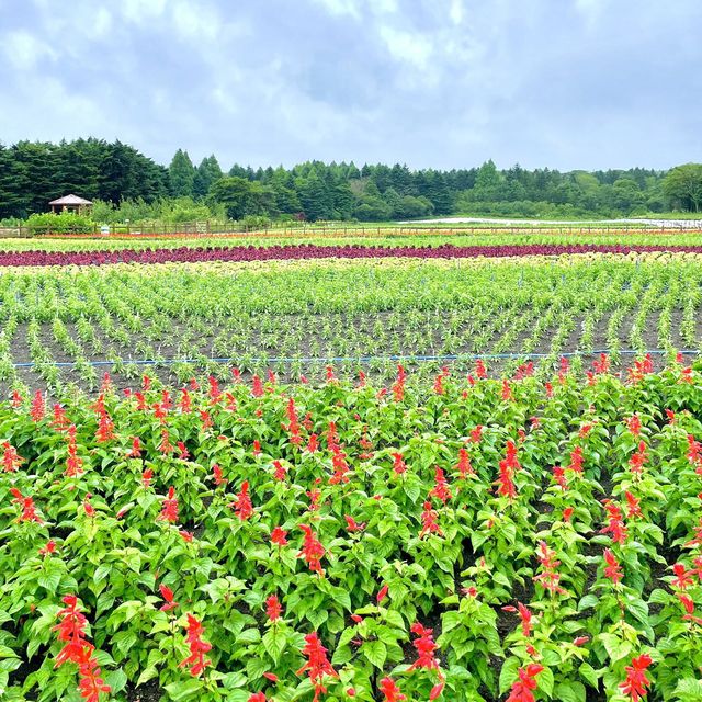 富士本栖湖リゾート