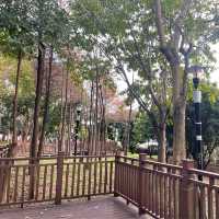 寶安區最美湖泊公園 立新湖 