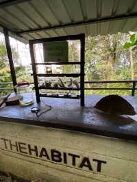 The Habitat Penang Hill 🍃🌲