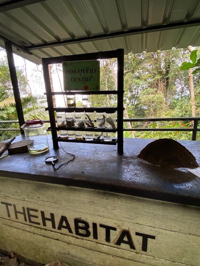 The Habitat Penang Hill 🍃🌲