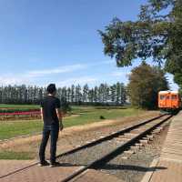 下一站幸福駅『北海道帶廣』戀人聖地