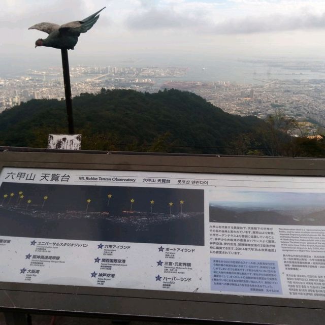 帶你走進神秘動畫龍貓站