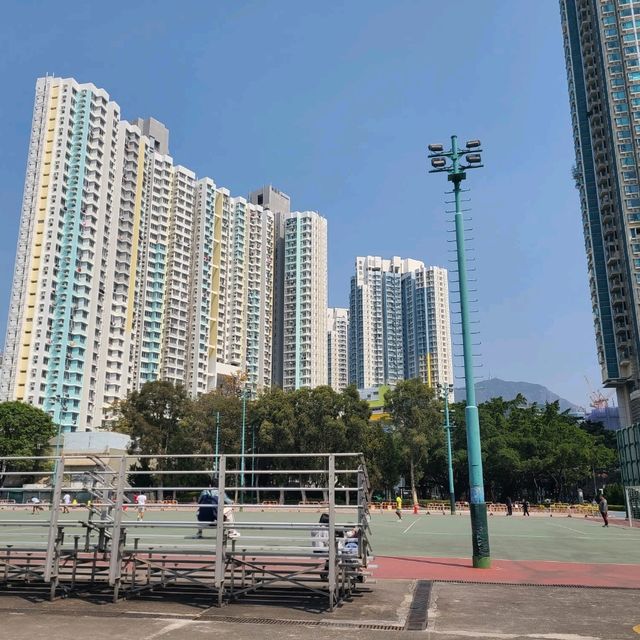 九龍城的特色公園