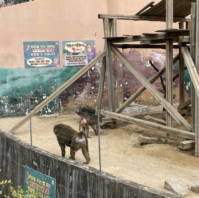 서울 도심 속 무료 동물원🐘