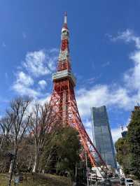 東京秘密賞塔的好地方—增上寺