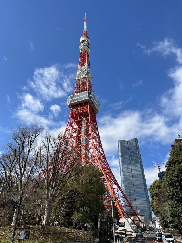 東京秘密賞塔的好地方—增上寺