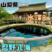 【山梨県/忍野村】忍野八海